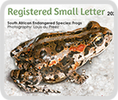 Endangered Frogs